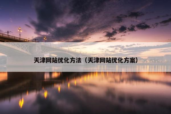 天津网站优化方法（天津网站优化方案）