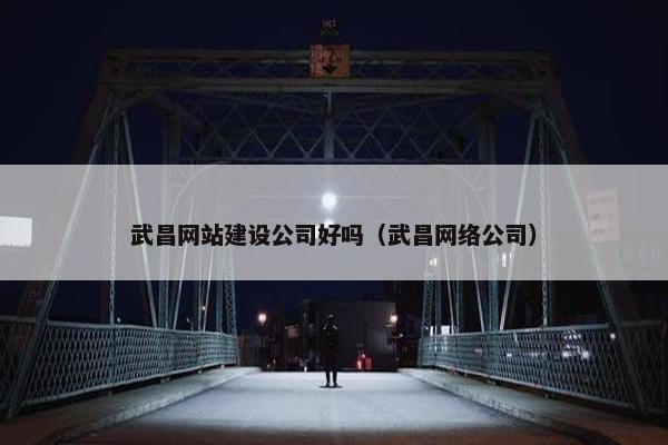武昌网站建设公司好吗（武昌网络公司）