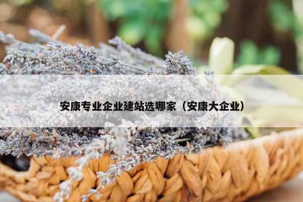 安康专业企业建站选哪家（安康大企业）