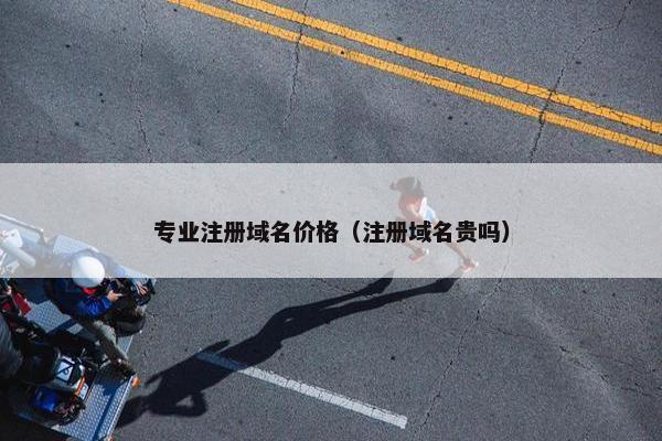 专业注册域名价格（注册域名贵吗）
