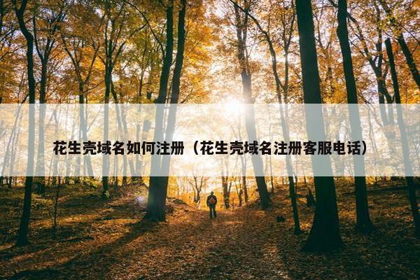 花生壳域名如何注册（花生壳域名注册客服电话）