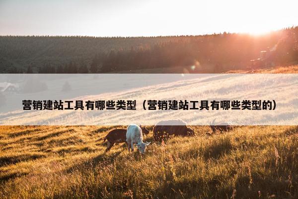 营销建站工具有哪些类型（营销建站工具有哪些类型的）