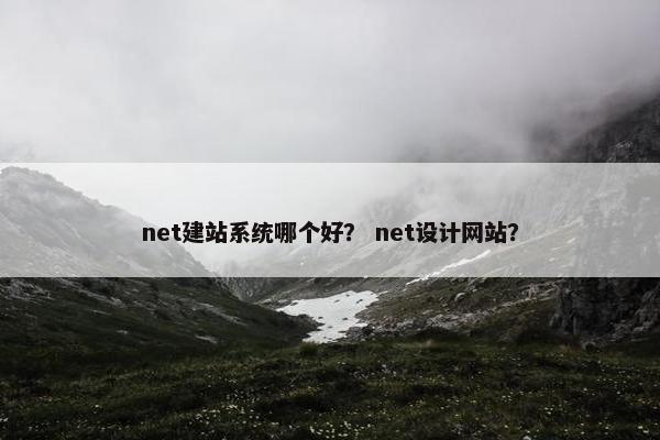 net建站系统哪个好？ net设计网站？