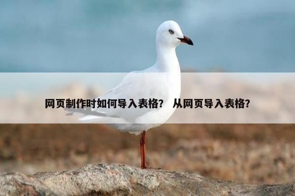 网页制作时如何导入表格？ 从网页导入表格？