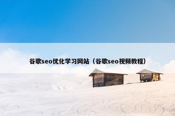 谷歌seo优化学习网站（谷歌seo视频教程）