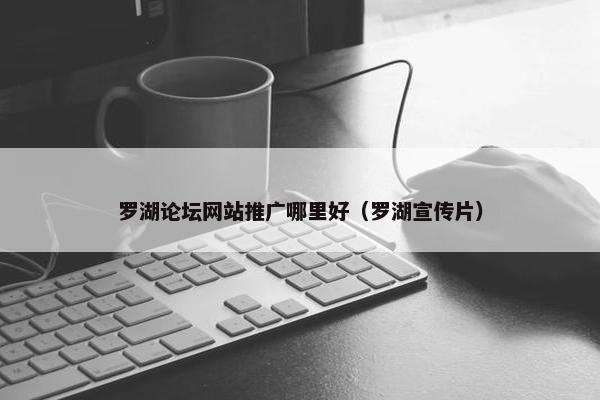 罗湖论坛网站推广哪里好（罗湖宣传片）