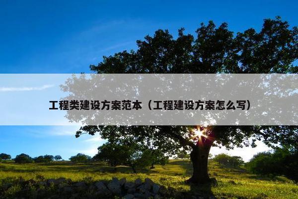 工程类建设方案范本（工程建设方案怎么写）