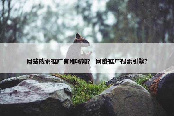 网站搜索推广有用吗知？ 网络推广搜索引擎？