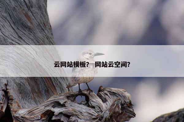 云网站模板？ 网站云空间？