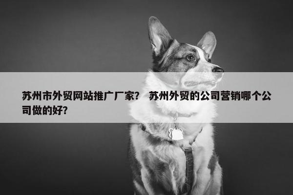 苏州市外贸网站推广厂家？ 苏州外贸的公司营销哪个公司做的好？