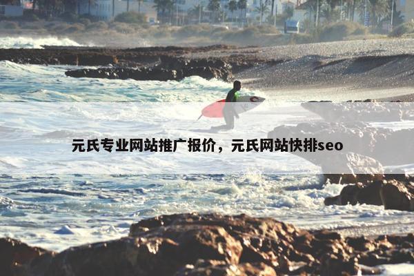 元氏专业网站推广报价，元氏网站快排seo