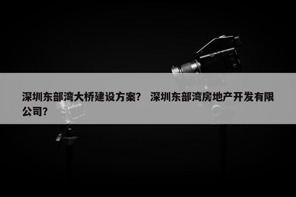 深圳东部湾大桥建设方案？ 深圳东部湾房地产开发有限公司？