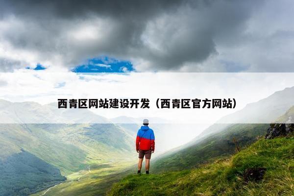 西青区网站建设开发（西青区官方网站）