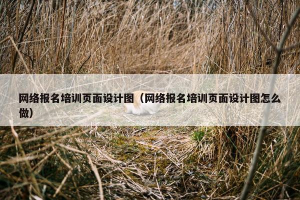 网络报名培训页面设计图（网络报名培训页面设计图怎么做）