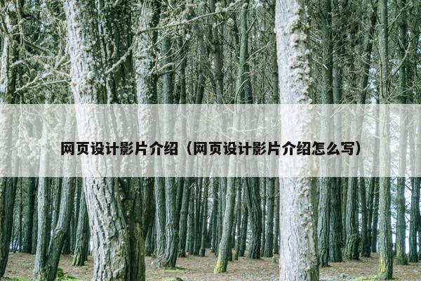 网页设计影片介绍（网页设计影片介绍怎么写）