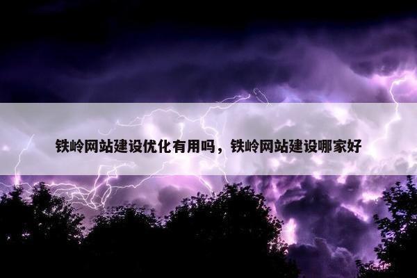 铁岭网站建设优化有用吗，铁岭网站建设哪家好