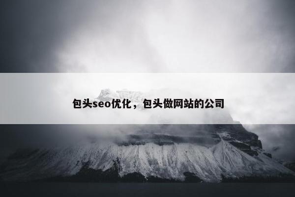包头seo优化，包头做网站的公司