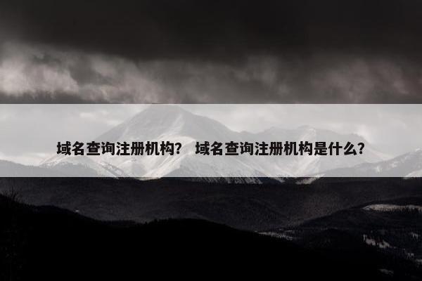 域名查询注册机构？ 域名查询注册机构是什么？