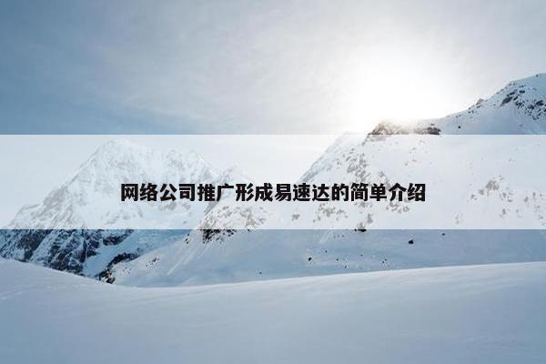 网络公司推广形成易速达的简单介绍