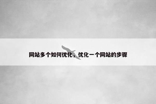 网站多个如何优化，优化一个网站的步骤