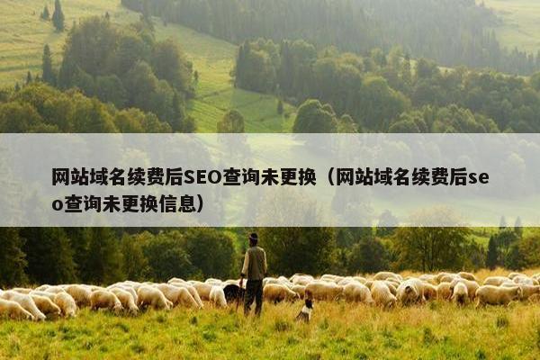 网站域名续费后SEO查询未更换（网站域名续费后seo查询未更换信息）