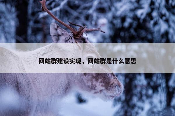 网站群建设实现，网站群是什么意思