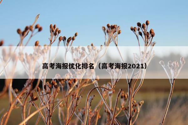 高考海报优化排名（高考海报2021）