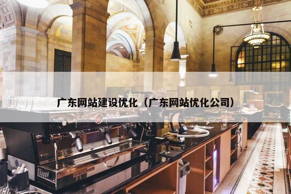 广东网站建设优化（广东网站优化公司）