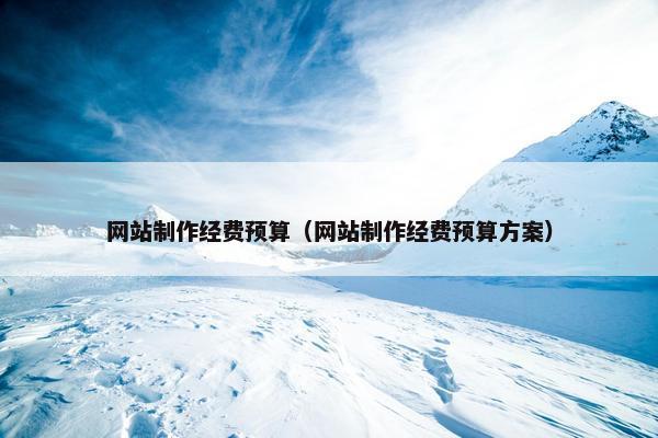 网站制作经费预算（网站制作经费预算方案）