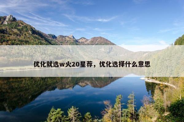 优化就选w火20星荐，优化选择什么意思