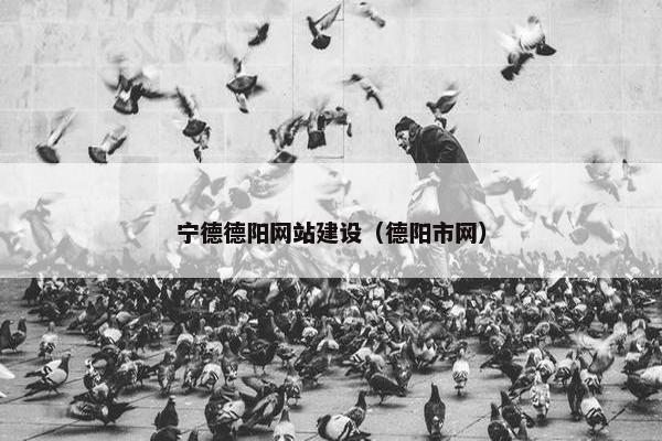 宁德德阳网站建设（德阳市网）