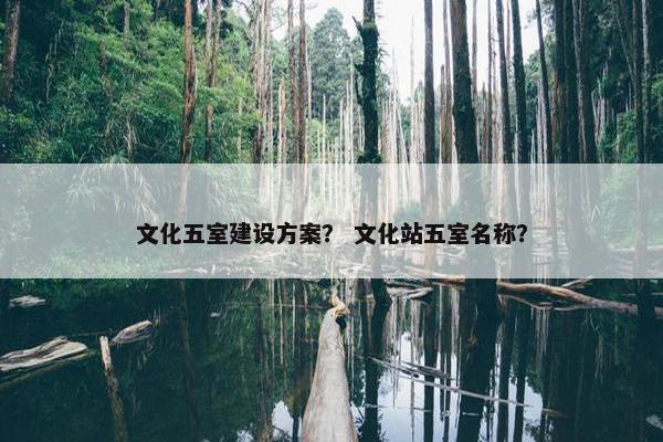 文化五室建设方案？ 文化站五室名称？