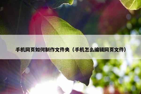 手机网页如何制作文件夹（手机怎么编辑网页文件）
