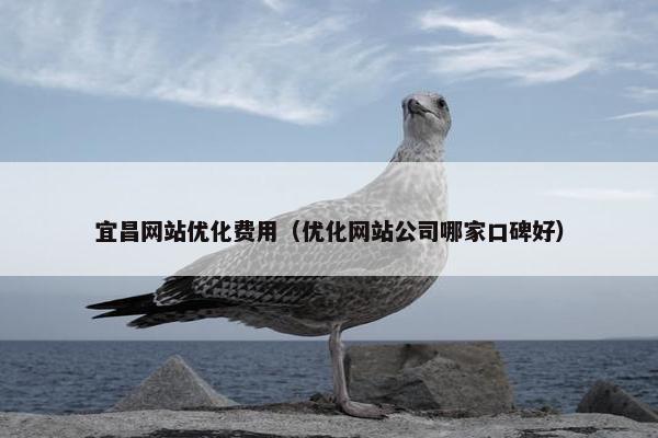 宜昌网站优化费用（优化网站公司哪家口碑好）
