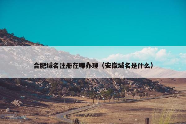 合肥域名注册在哪办理（安徽域名是什么）