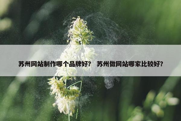 苏州网站制作哪个品牌好？ 苏州做网站哪家比较好？