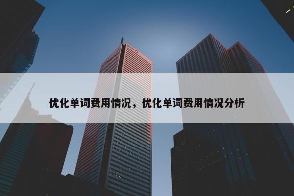优化单词费用情况，优化单词费用情况分析