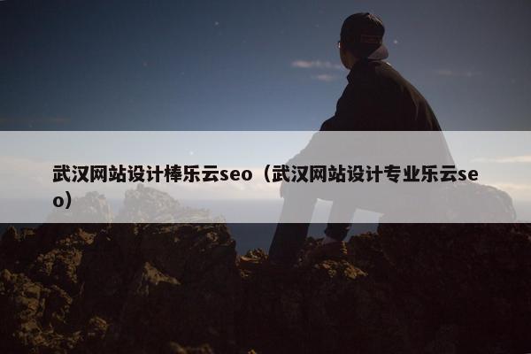 武汉网站设计棒乐云seo（武汉网站设计专业乐云seo）