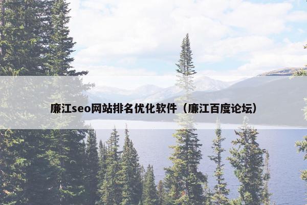 廉江seo网站排名优化软件（廉江百度论坛）