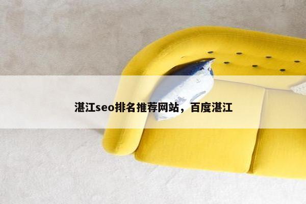湛江seo排名推荐网站，百度湛江