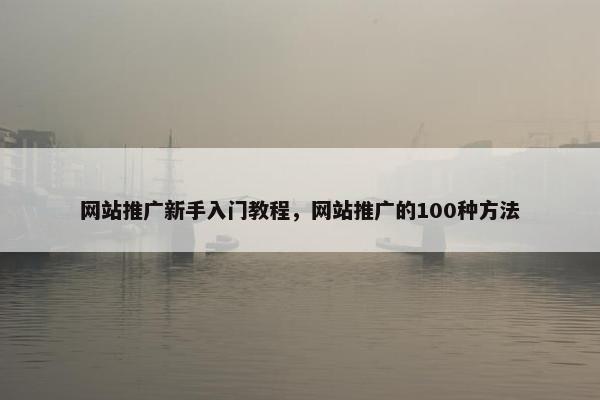 网站推广新手入门教程，网站推广的100种方法