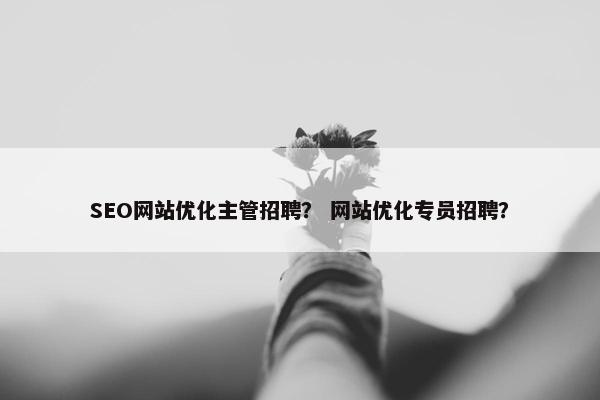 SEO网站优化主管招聘？ 网站优化专员招聘？