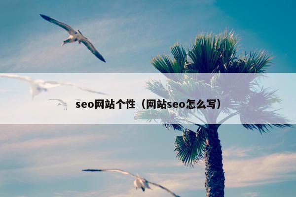 seo网站个性（网站seo怎么写）