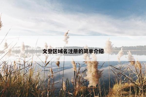 文登区域名注册的简单介绍