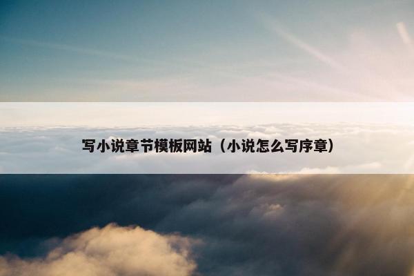 写小说章节模板网站（小说怎么写序章）