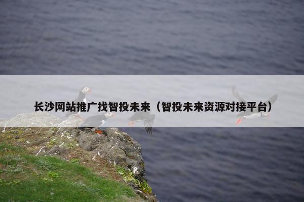 长沙网站推广找智投未来（智投未来资源对接平台）