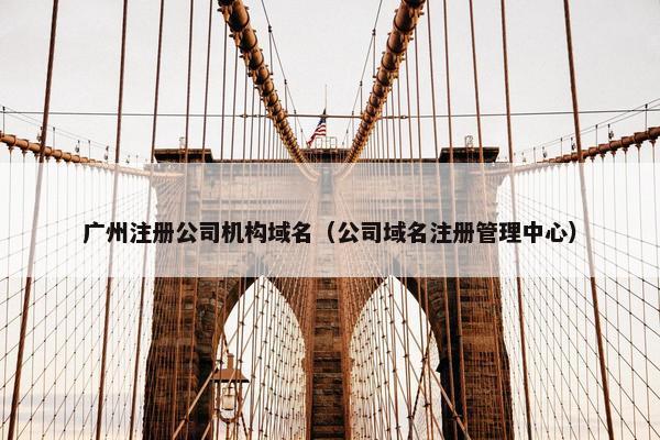 广州注册公司机构域名（公司域名注册管理中心）