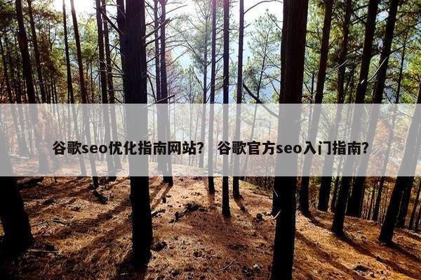 谷歌seo优化指南网站？ 谷歌官方seo入门指南？