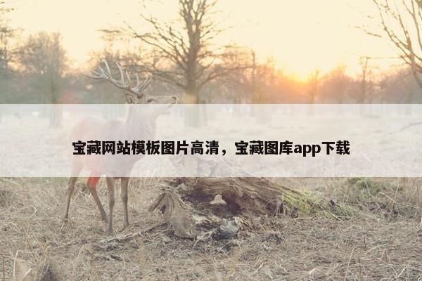宝藏网站模板图片高清，宝藏图库app下载