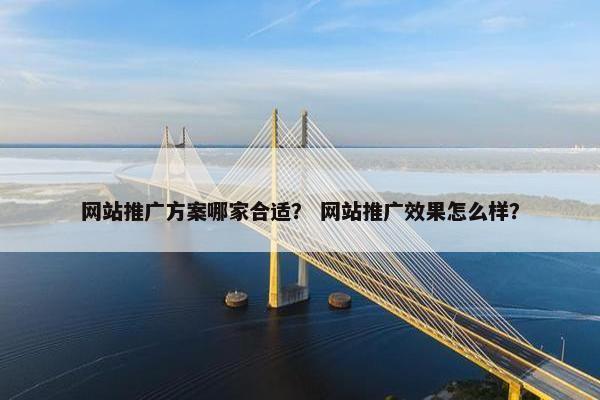 网站推广方案哪家合适？ 网站推广效果怎么样？